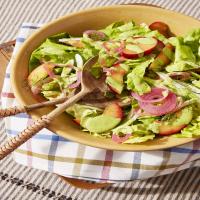Bibb Salad with Pickled Onion, Fennel, and Plums_image