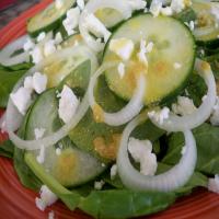 Spinach, Cucumber, Feta and Red Onion Salad image