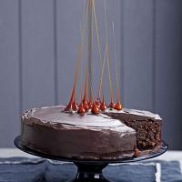 Chocolate & hazelnut celebration cake_image