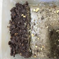 Easy Marshmallow-Chocolate Chip-Granola Squares image
