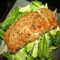 Pine Nut Crusted Pacific Salmon_image