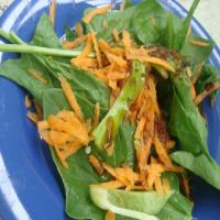 Spinach Salad With Japanese Ginger Dressing_image