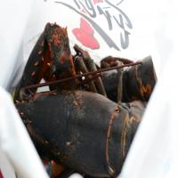 Chocolate Lobster_image