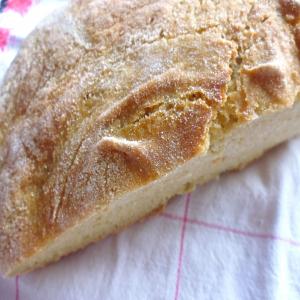 No-Knead Whole Wheat Bread with Sorghum Flour_image