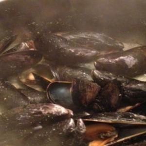 Steamed Mussels With Coconut Milk and Thai Chiles_image