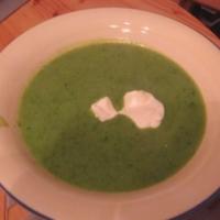 leek &spinach soup image