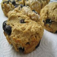 Fat Free, Sugar-Free Whole Wheat Blueberry Muffins image