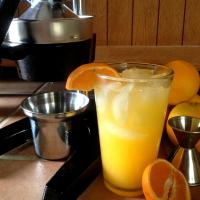 Orange Crush! Fresh Squeezed Orange and Vodka Cocktail_image