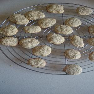 Coriander Cookies_image