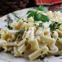 Quick and Easy Parmesan Noodles_image