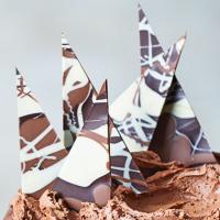 Chocolate shards image