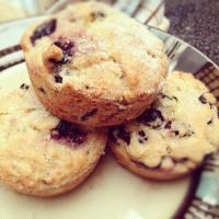 Saskatoon Berry Muffins_image