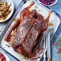 Slow-cooked goose with cranberry salsa image