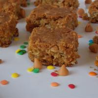 Oatmeal Scotchies in a Pan_image