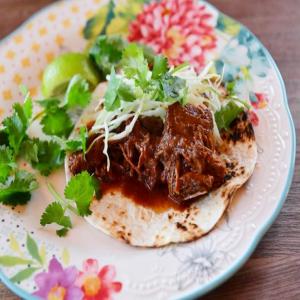 Braised Beef and Red Chiles image