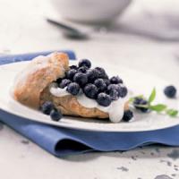 Fresh Blueberry Shortcakes_image