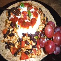 Black Bean & Ground Turkey Burrito Mix_image
