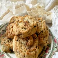 Lacemaker's Cattern Cakes - English Spiced Sugar Cookies_image