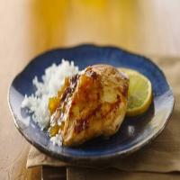 Indian Spiced Chicken and Chutney_image