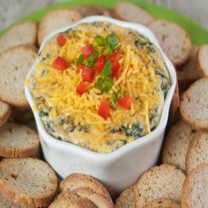 Copycat Kelseys' 4 Cheese Spinach Dip_image