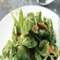 Pea Shoot and Spinach Salad with Bacon and Shiitakes_image