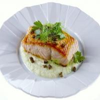 Pan-Roasted Salmon with Fennel Puree image