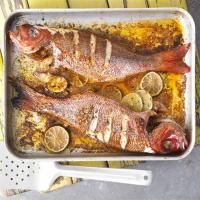 Jamaican grilled fish image