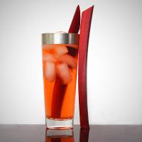 Rhubarb Gin and Tonic Recipe - (4.2/5)_image