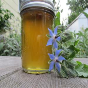 Borage Cucumber Jelly With Ginger image