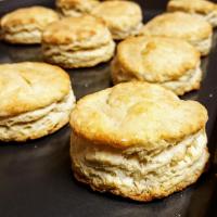 Basic Biscuits image