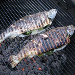 Herb-Stuffed Baked Trout_image