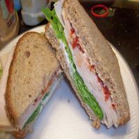 Best Ever Turkey Onion Sandwich_image