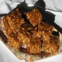Oatmeal and Date Bars_image