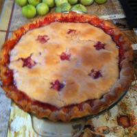 Lisa's Tomatillo and Strawberry Pie_image
