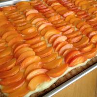 Tieton Apricot Tart with Basil Custard image