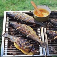Grilled Striped Bass with Orange-Saffron Butter_image