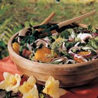 Springtime Spinach Salad_image