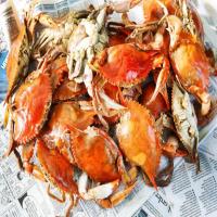 Charleston Crab Crack image