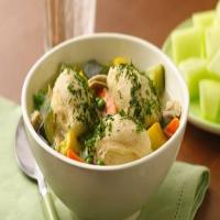 Summer Chicken Soup with Biscuit Dumplings_image