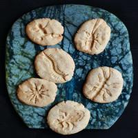 Fossil Cookies image