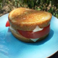 Grilled Swiss & Tomato on Rye_image