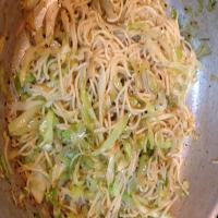 Crock Pot Shredded Balsamic Chicken With Herb Cabbage Pasta_image