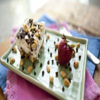 Gluten-Free Chocolate Peanut Butter Frozen Yogurt Dessert Bars image