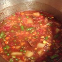 30 Minute Vegetable Beef Soup image
