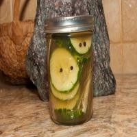 DIY Essentials: Addictive Lemon/Dill Pickles_image