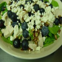 Blueberry Spinach Salad With Chicken, Pecans and Bleu Cheese_image