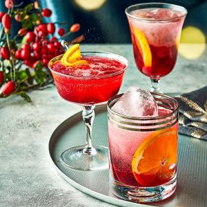 Cranberry gin fizz image