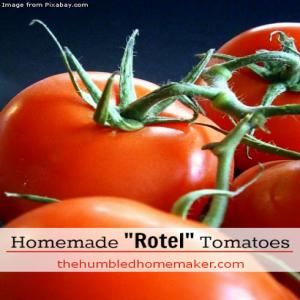 Rotel Tomatoes - Canning Stewed Tomatoes Recipe - (4.4/5)_image