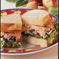 Apple-Walnut Turkey Sandwiches_image