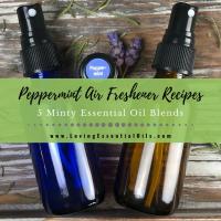DIY Peppermint Air Freshener - 5 Minty Essential Oil Recipes_image
